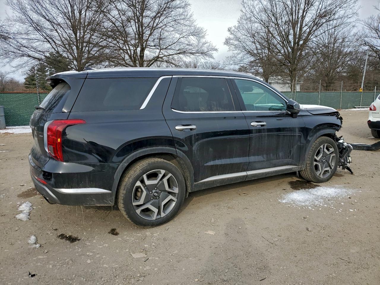 2024 HYUNDAI PALISADE LIMITED photo 3