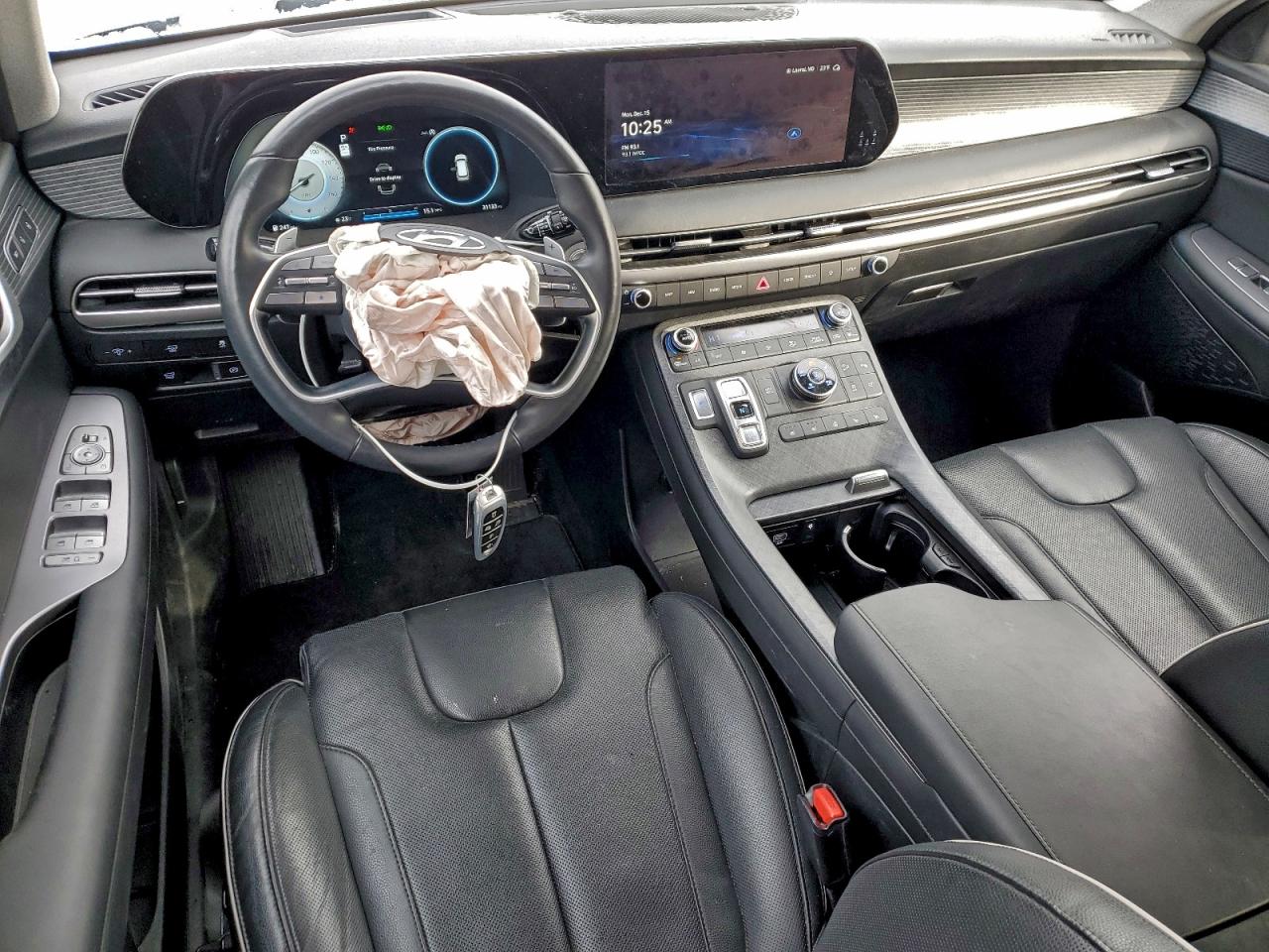 2024 HYUNDAI PALISADE LIMITED photo 8