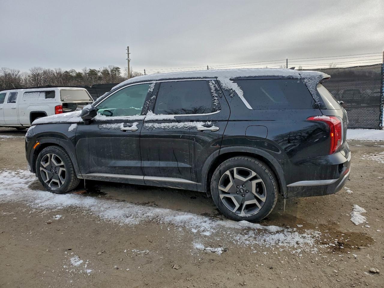 2024 HYUNDAI PALISADE LIMITED photo 2