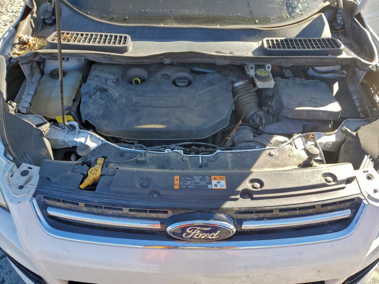 2014 FORD ESCAPE TITANIUM photo 12