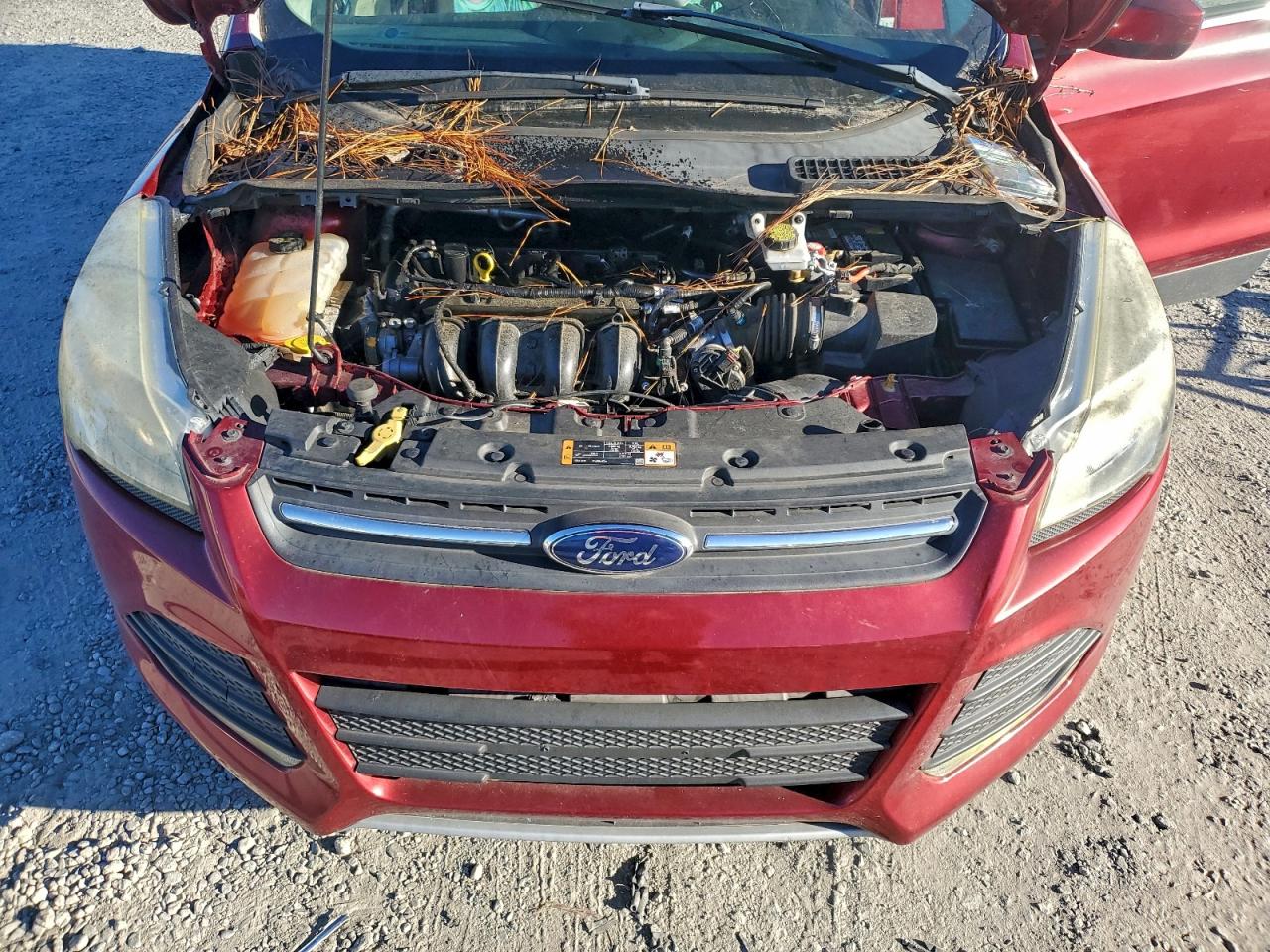 2016 FORD ESCAPE SE photo 12