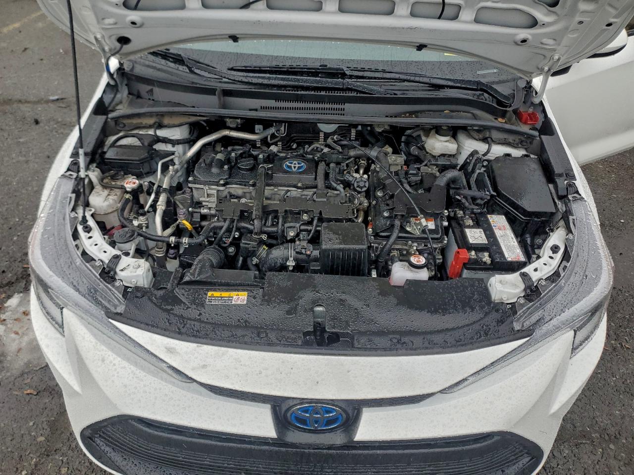 2024 TOYOTA COROLLA LE photo 11