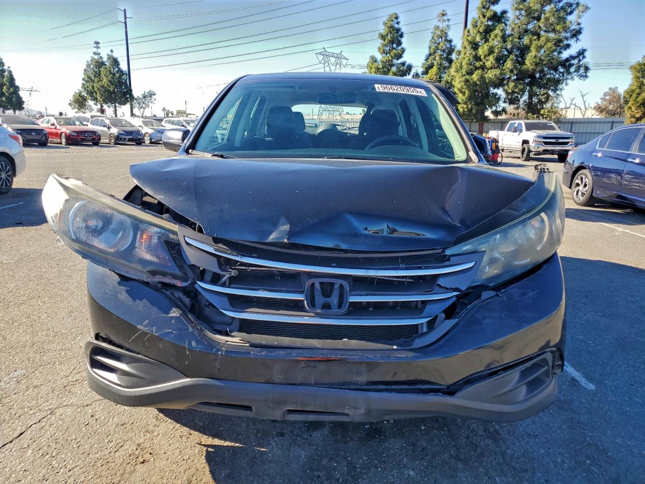 2014 HONDA CR-V LX photo 5