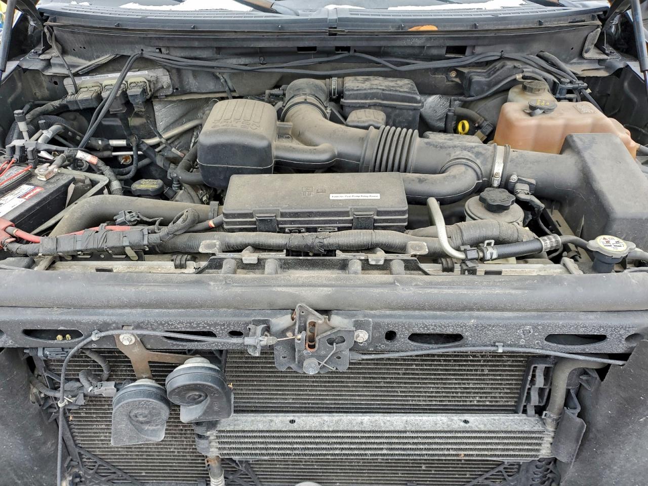 2010 FORD F150 SUPERCREW photo 11