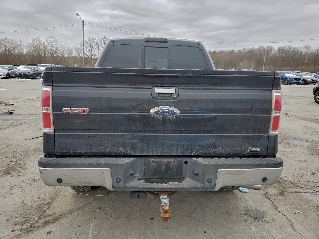 2010 FORD F150 SUPERCREW photo 6