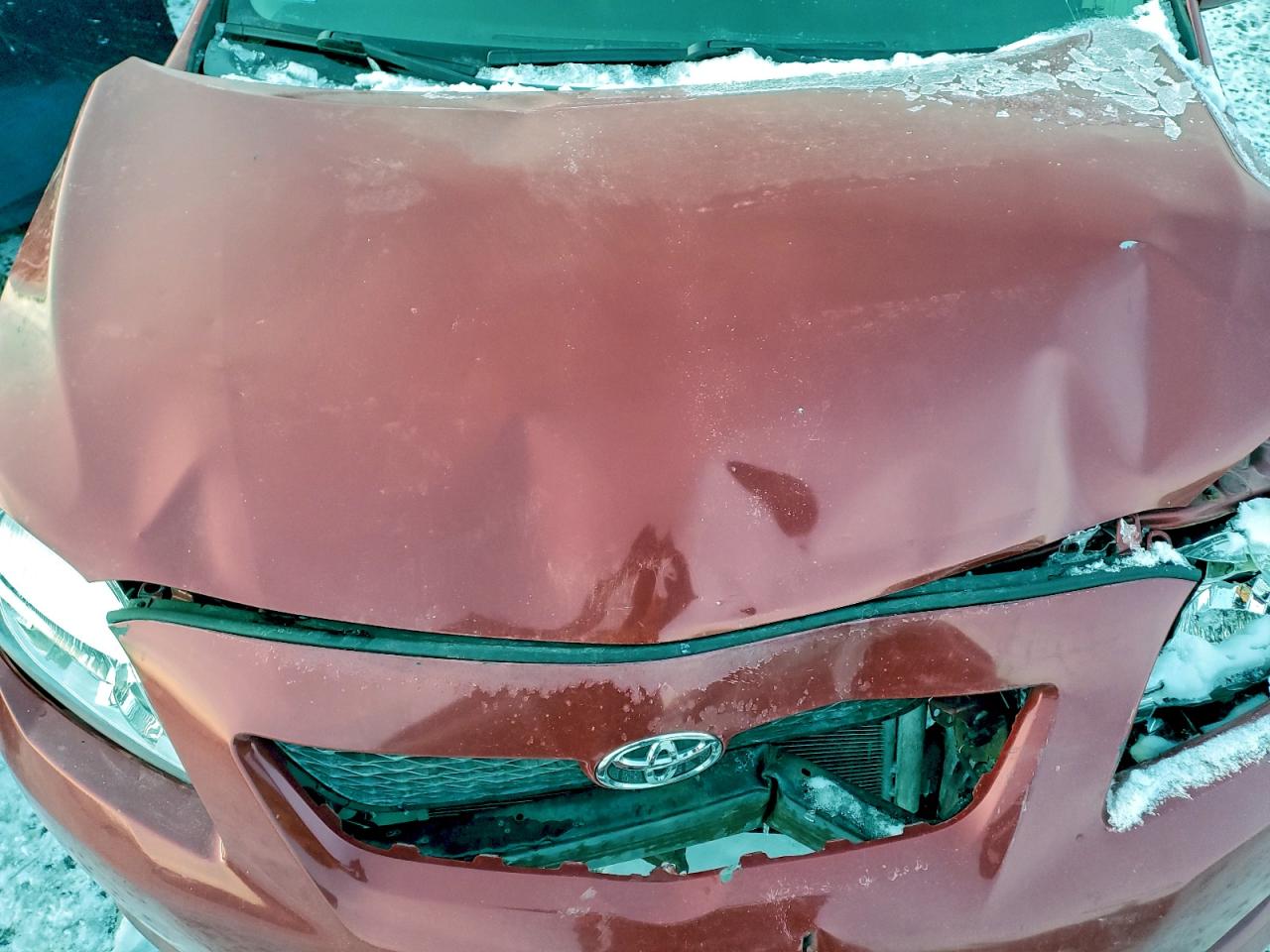 2010 TOYOTA COROLLA BASE photo 11