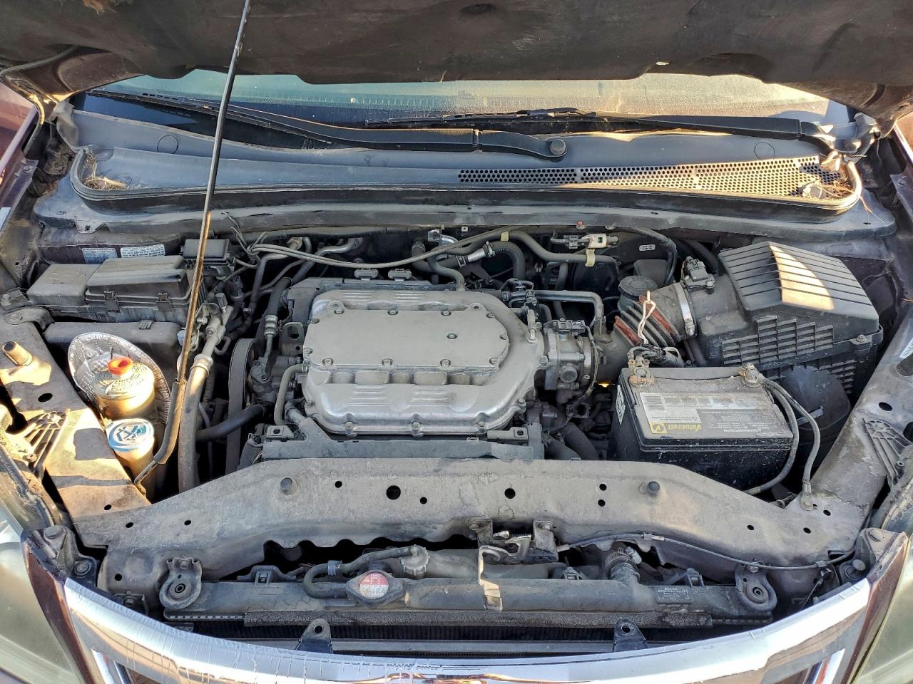 2008 HONDA ODYSSEY EXL photo 12