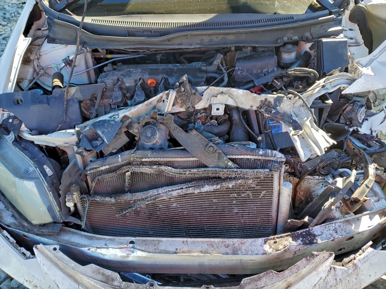 2014 HONDA CIVIC LX photo 11