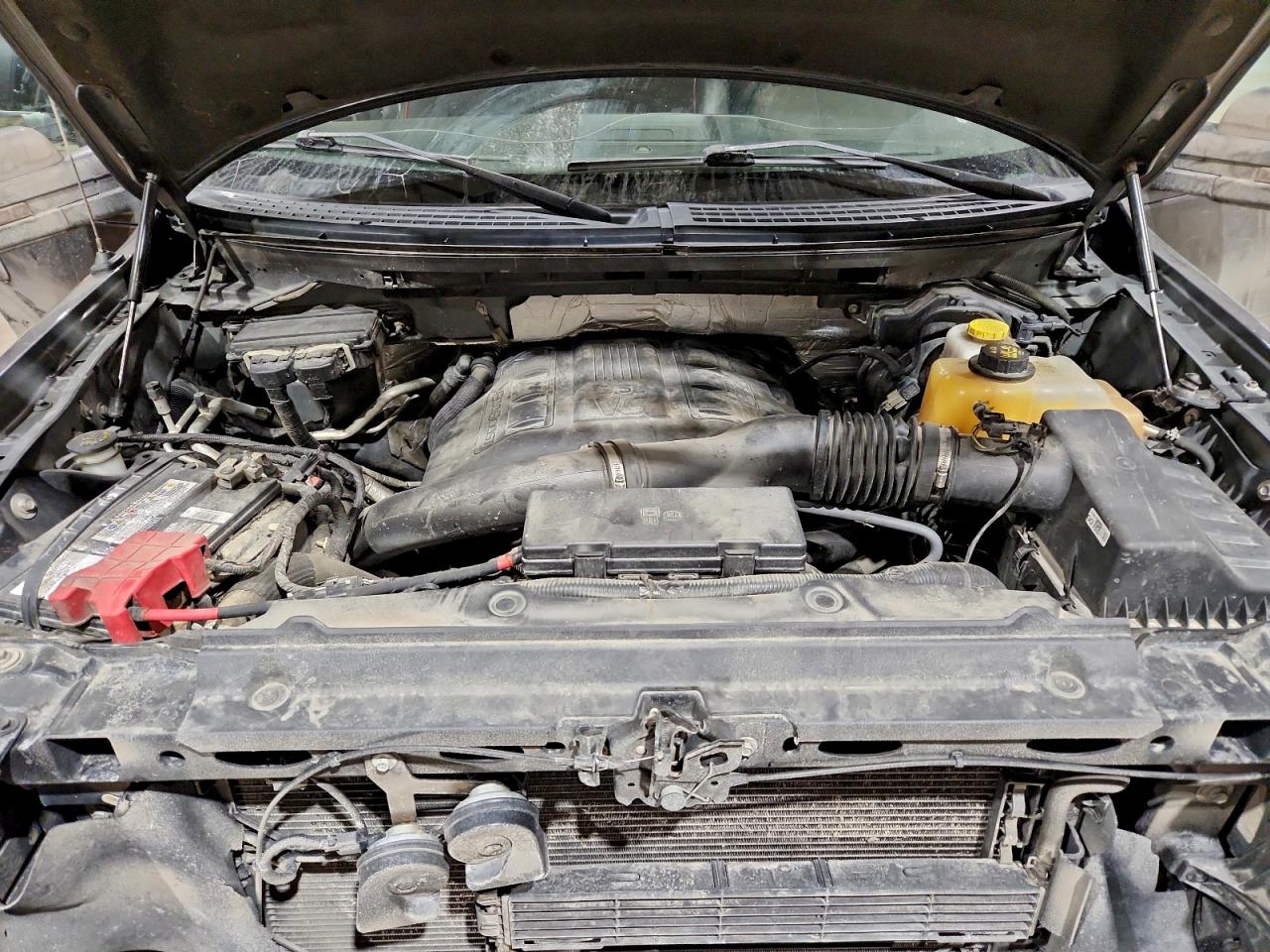 2014 FORD F150 SUPERCREW photo 11