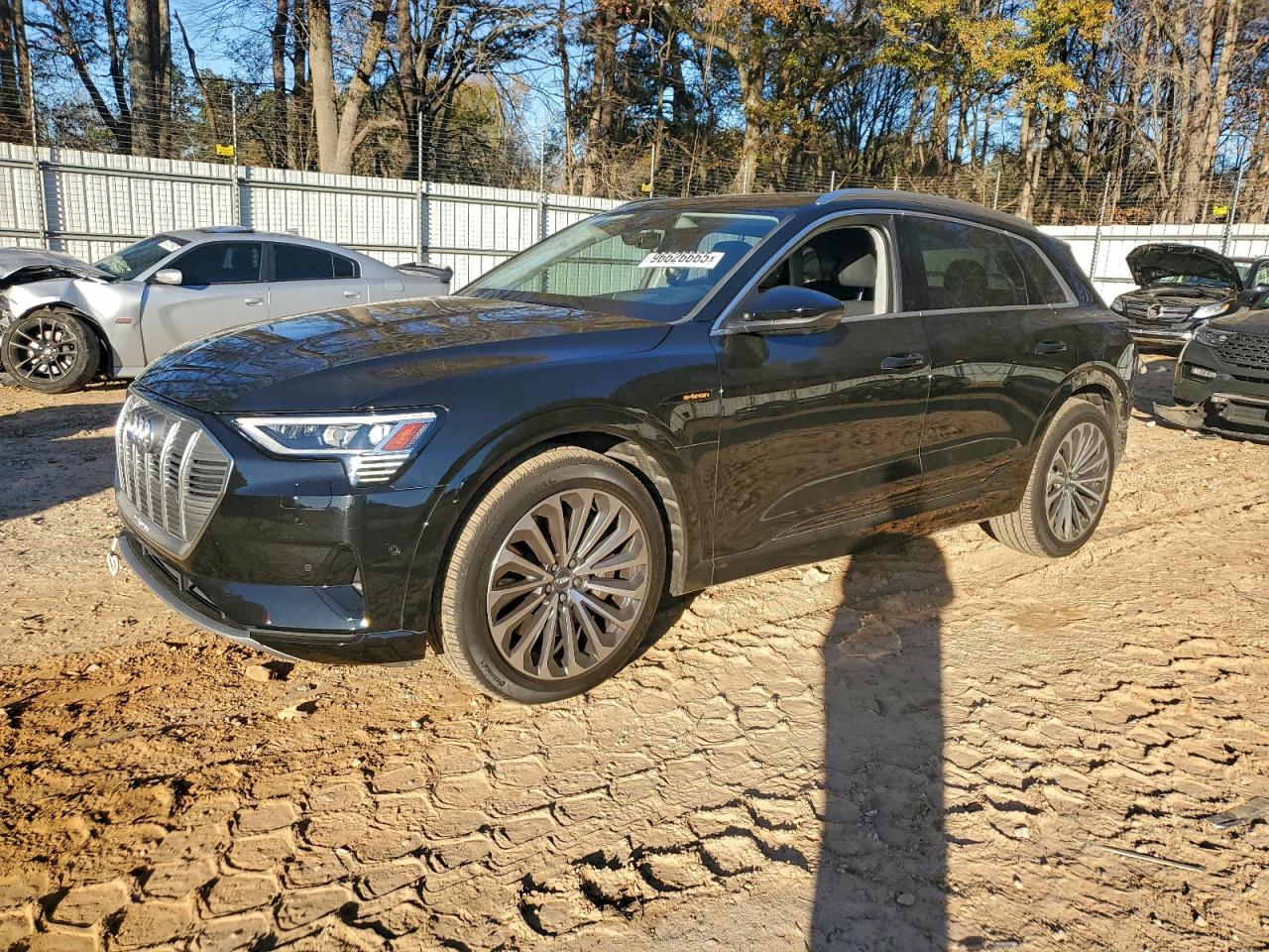 2019 AUDI E-TRON