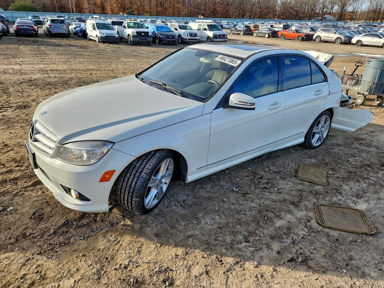 2010 MERCEDES-BENZ C
