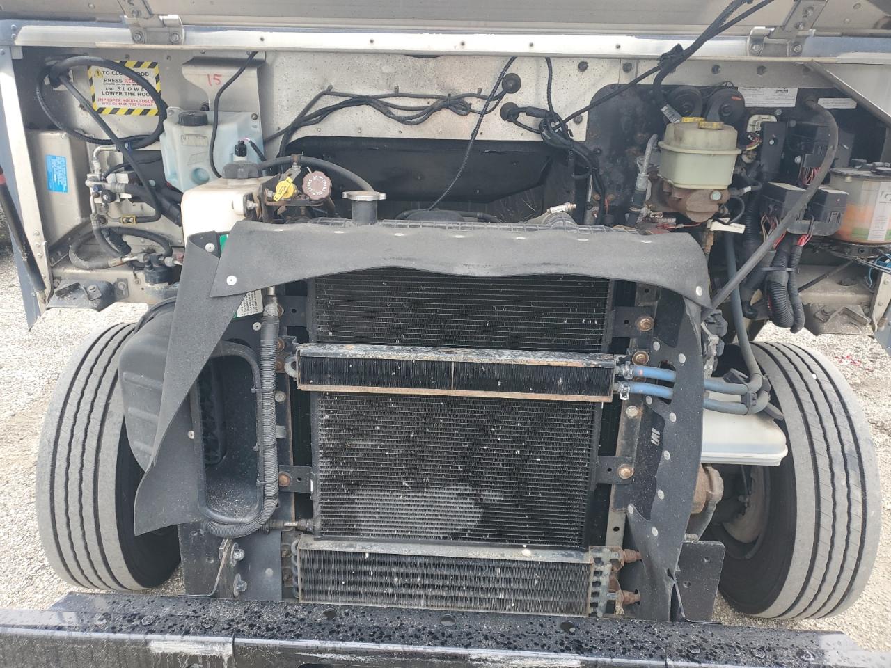 2020  CHASSIS M - DELIVERY VAN photo 12