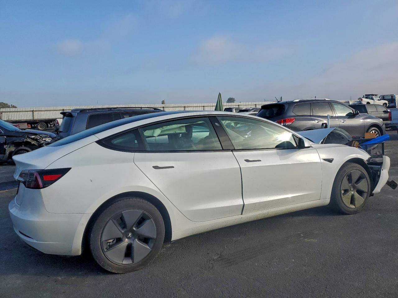 2021 TESLA MODEL 3 photo 3