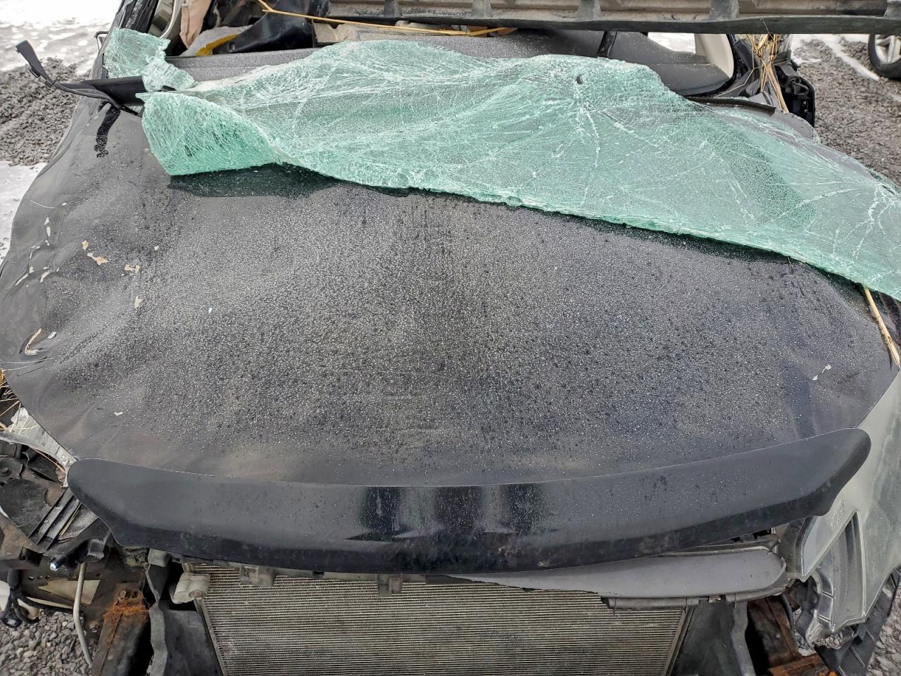 2014 HONDA CR-V EX photo 12