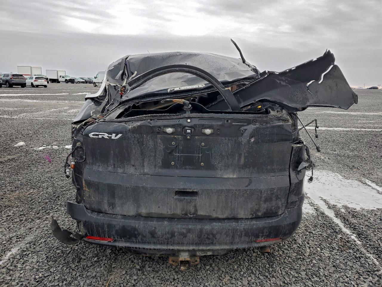 2014 HONDA CR-V EX photo 6
