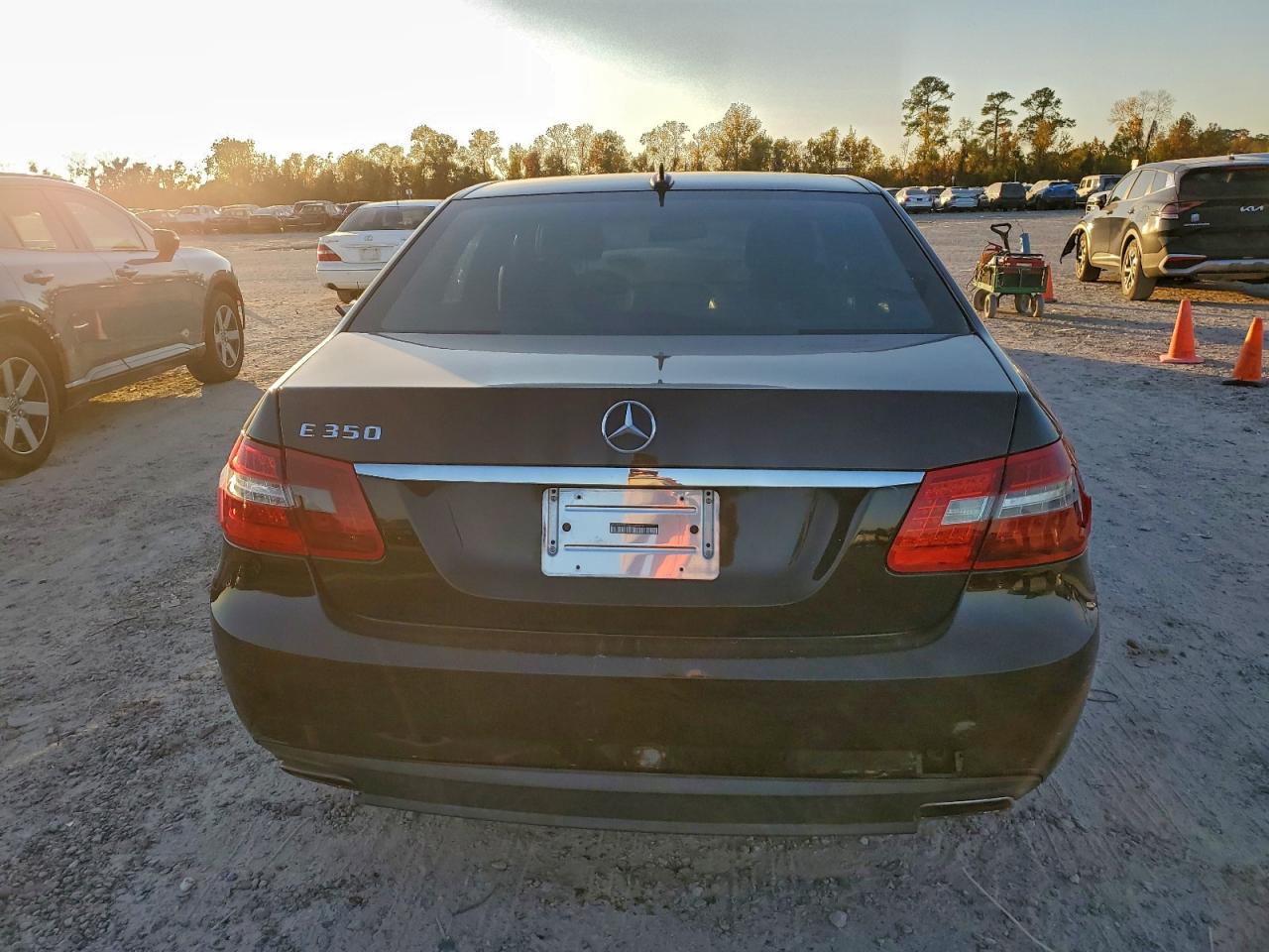 2010 MERCEDES-BENZ E 350 photo 11