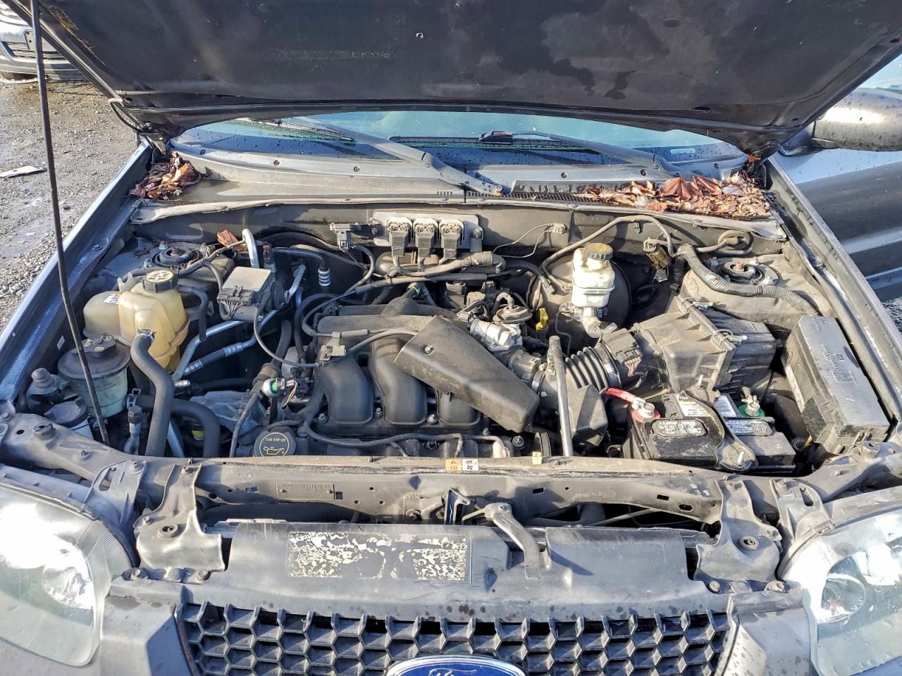 2005 FORD ESCAPE XLT photo 12