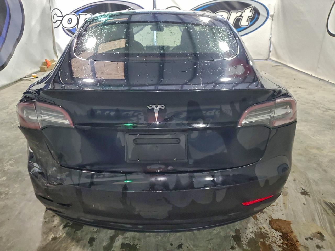 2023 TESLA MODEL 3 photo 6