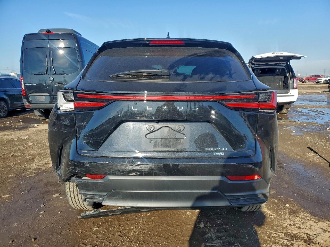 2023 LEXUS NX 250 photo 6