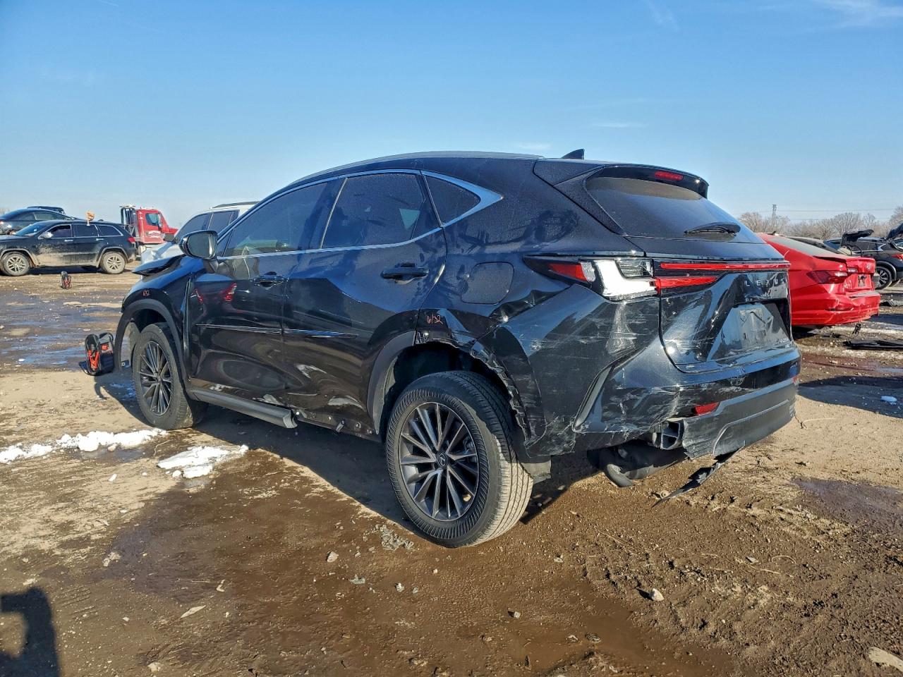 2023 LEXUS NX 250 photo 2