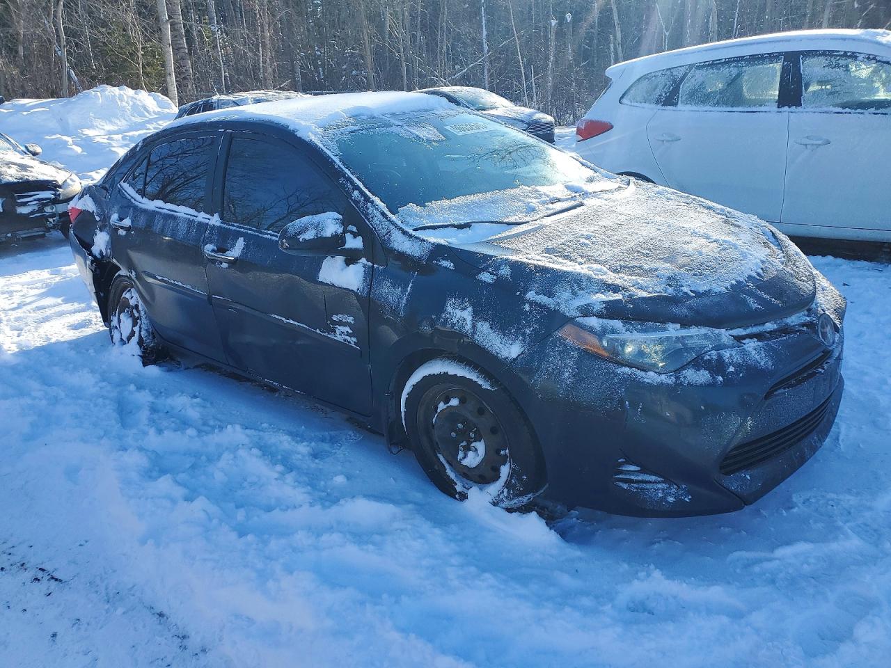 2019 TOYOTA COROLLA L photo 4