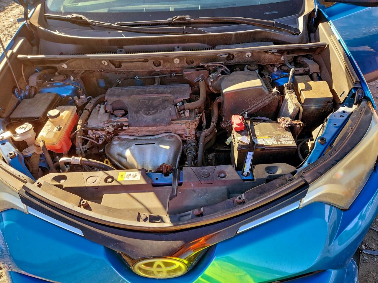 2017 TOYOTA RAV4 XLE photo 12