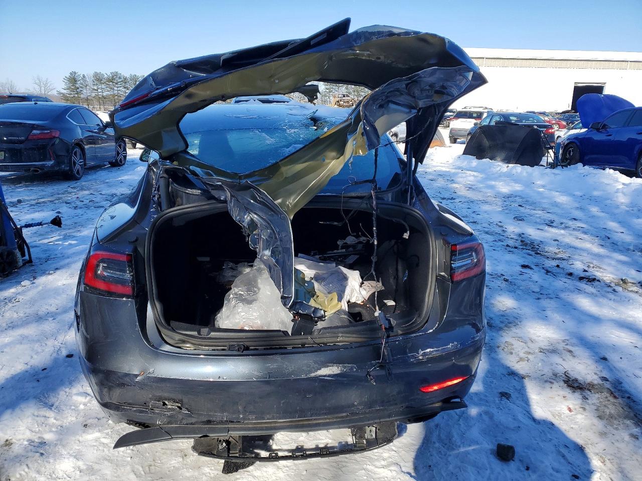 2023 TESLA MODEL 3 photo 11