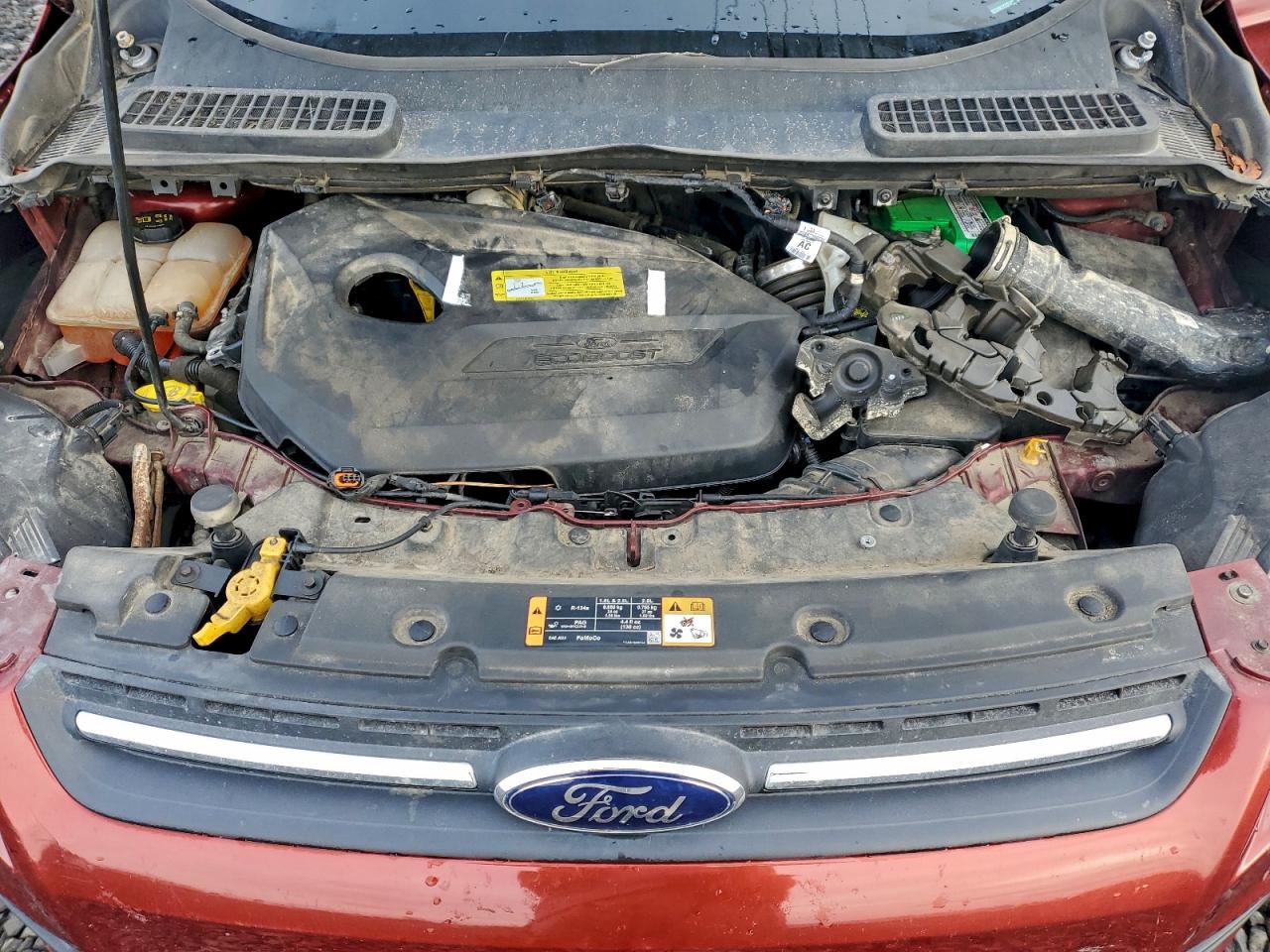 2014 FORD ESCAPE SE photo 12