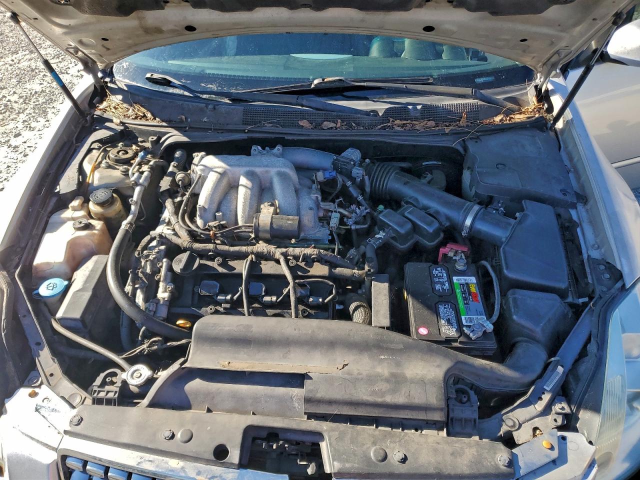 2005 NISSAN MAXIMA SE photo 11