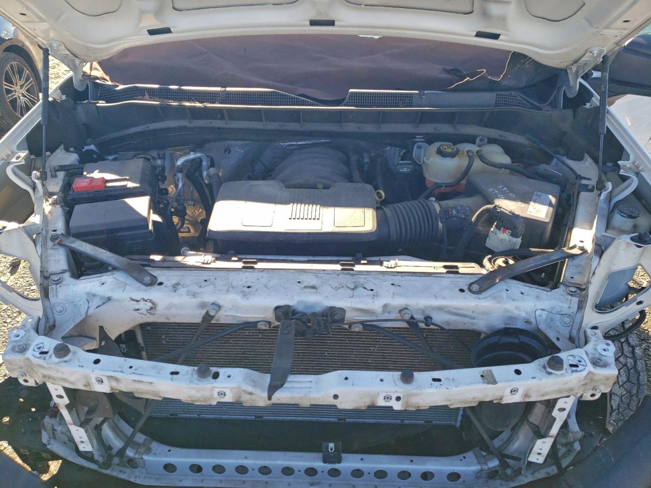 2019 CHEVROLET SILVERADO C1500 photo 11