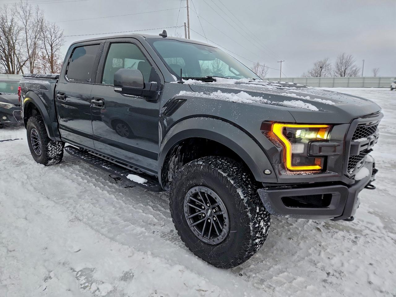 2020 FORD F150 RAPTOR photo 4