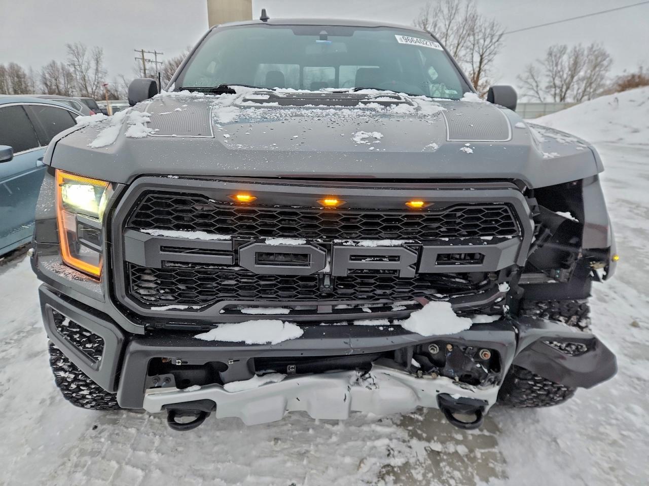 2020 FORD F150 RAPTOR photo 5