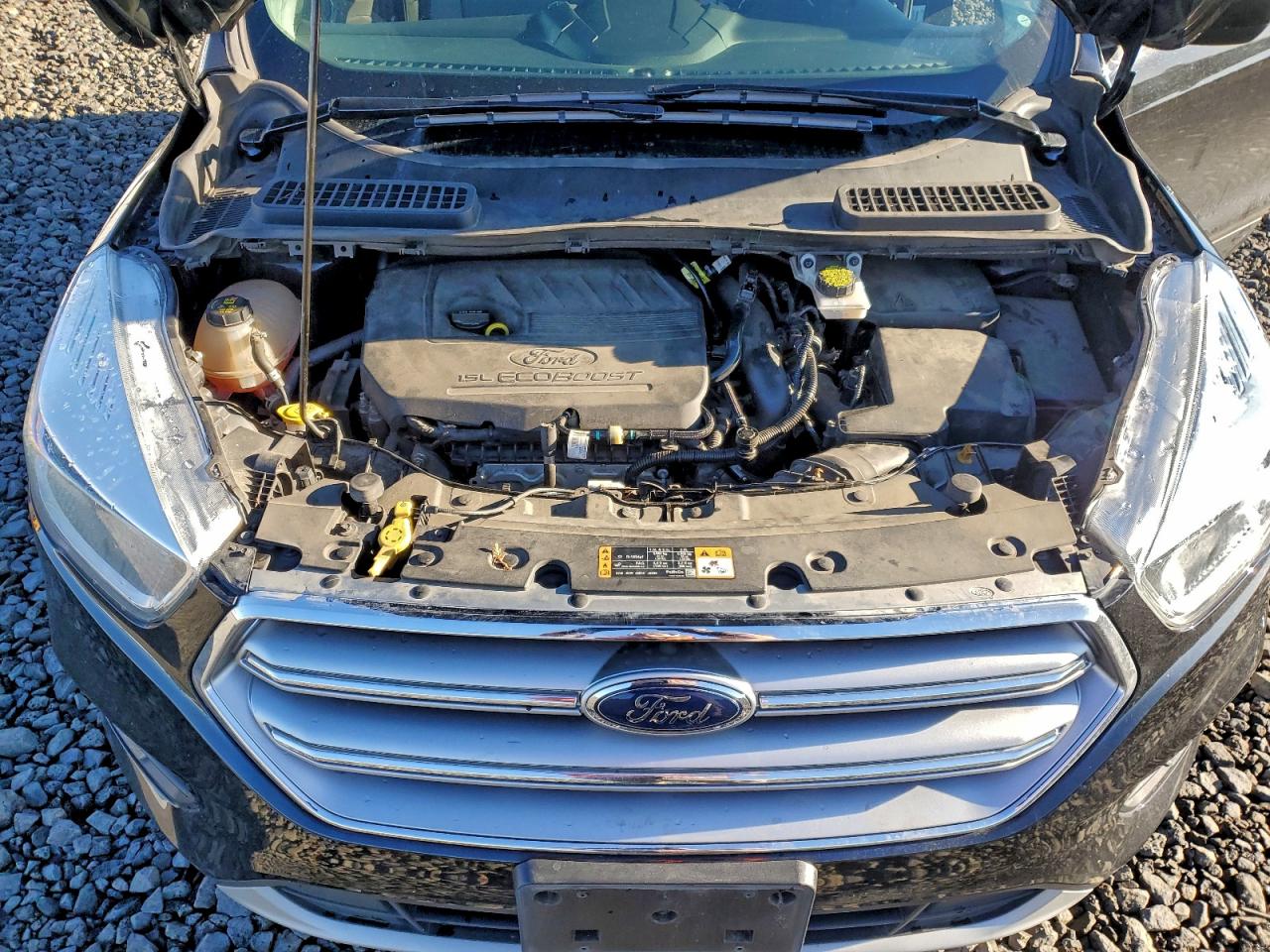 2017 FORD ESCAPE SE photo 12