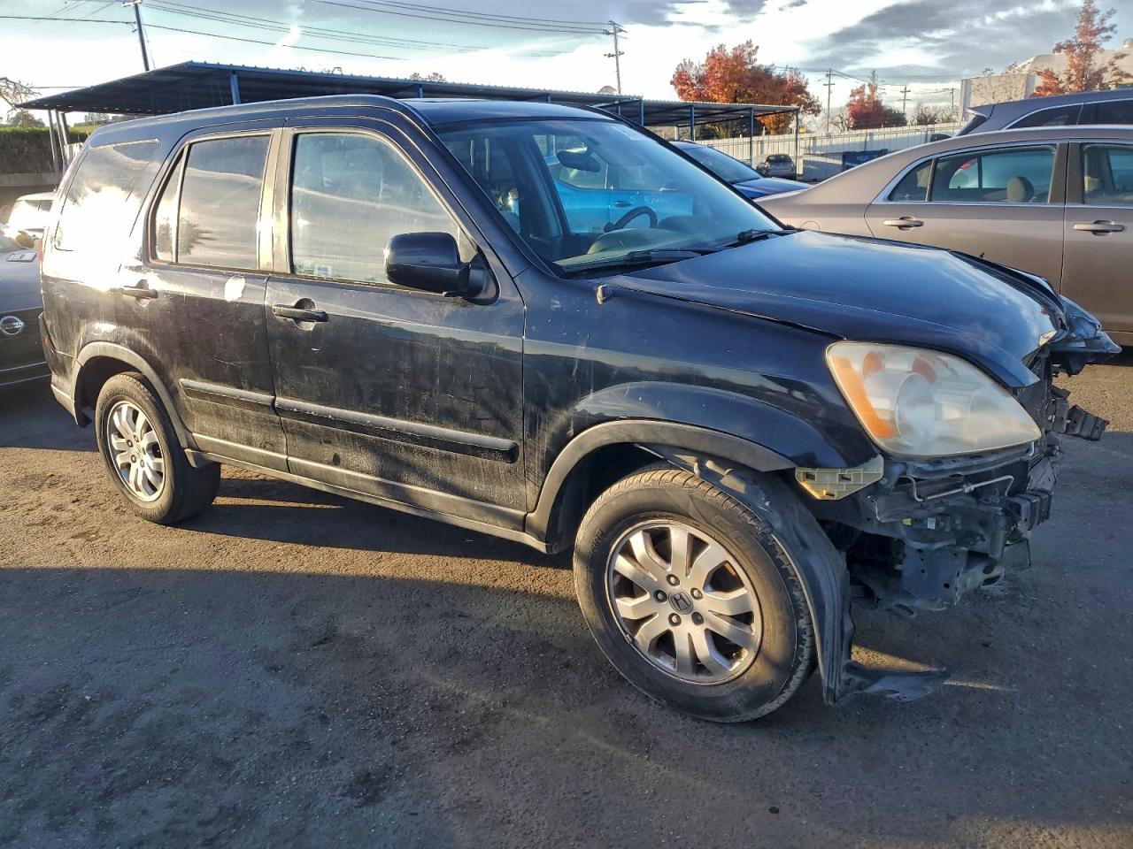2005 HONDA CR-V SE photo 4