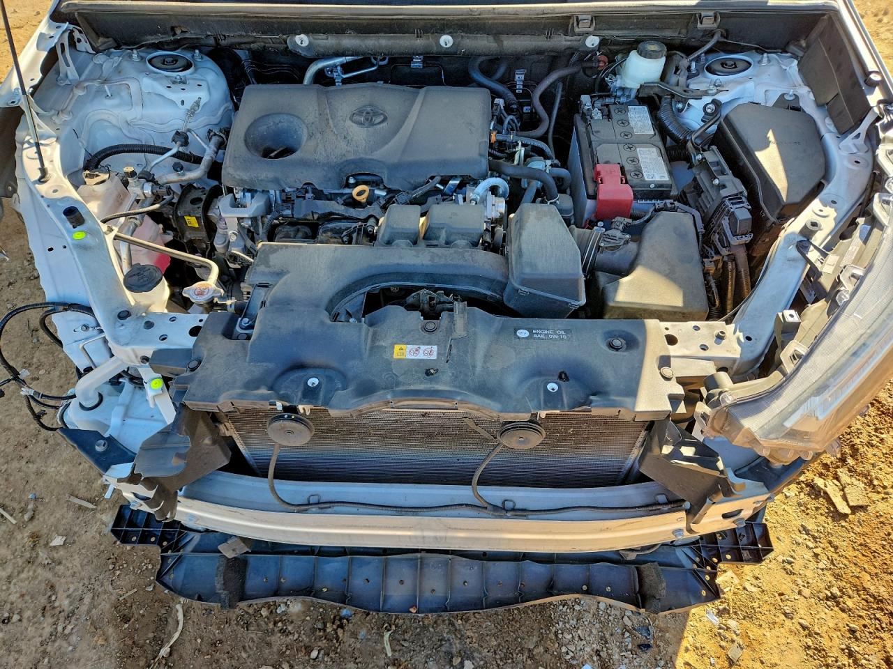 2024 TOYOTA RAV4 XLE photo 12