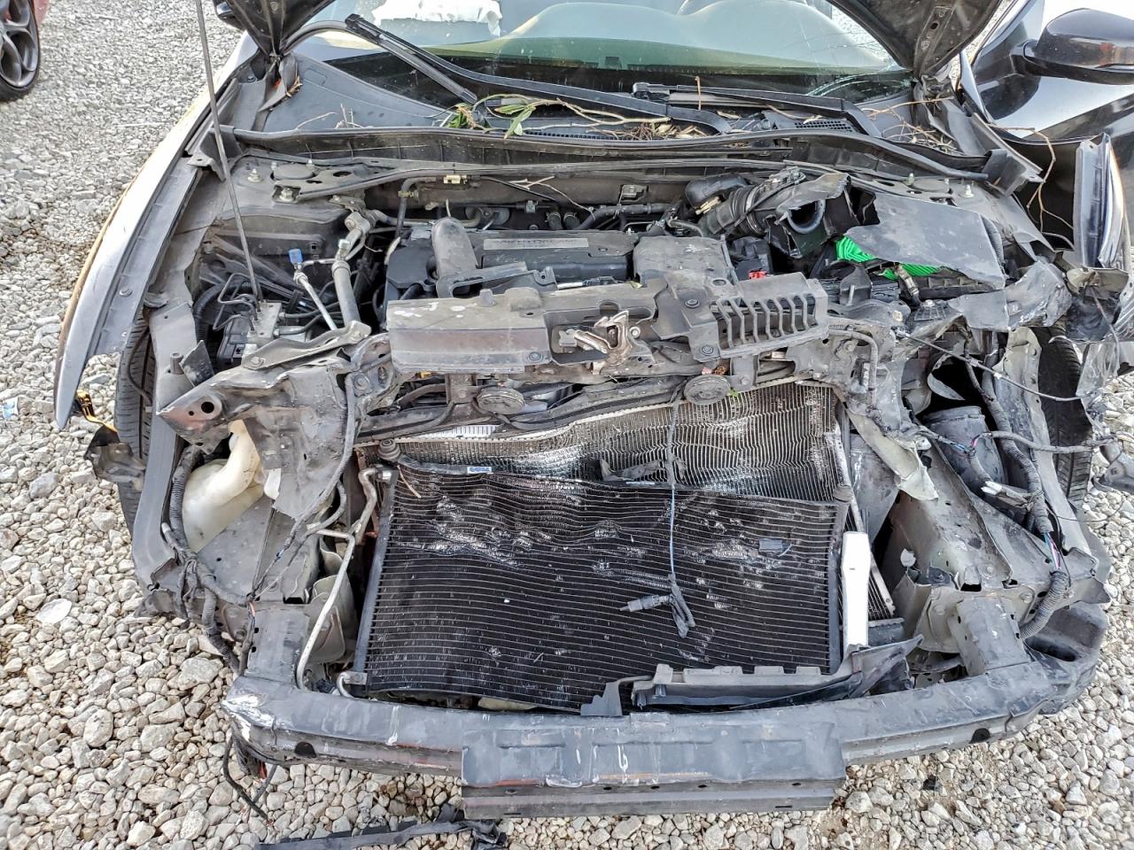 2014 HONDA ACCORD EX photo 11