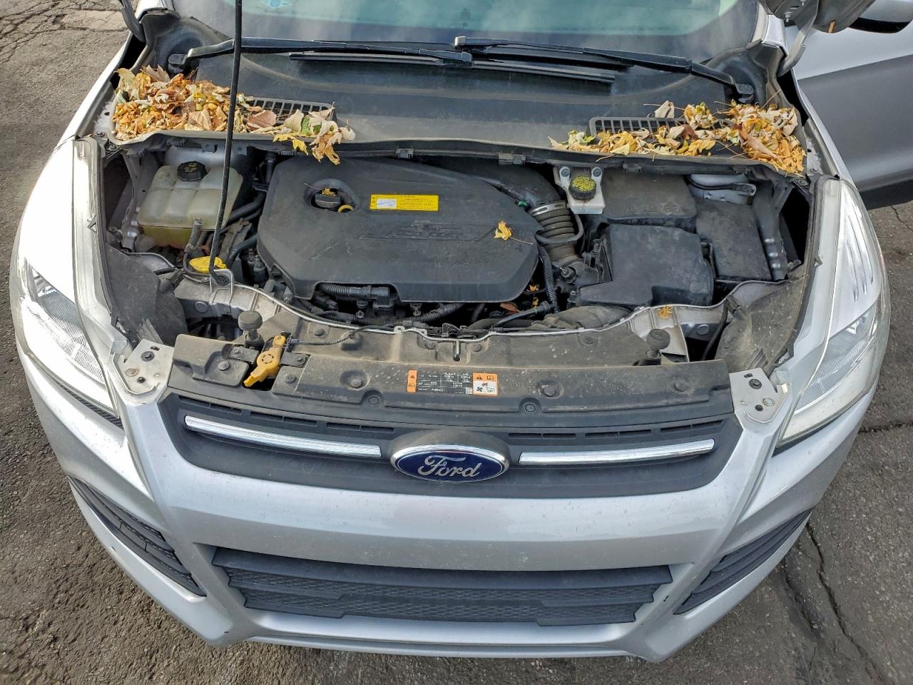 2016 FORD ESCAPE SE photo 11