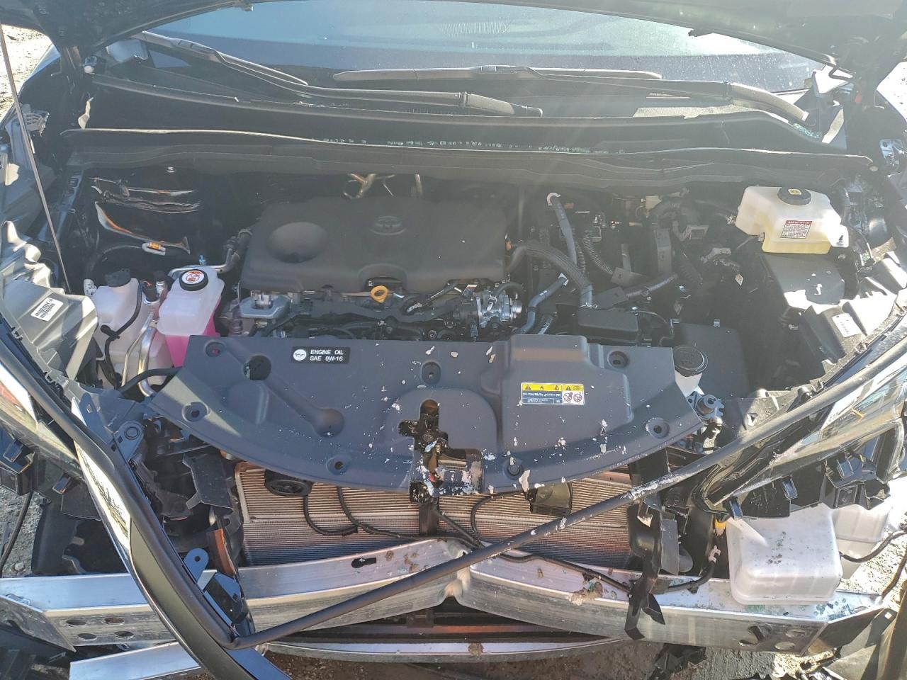 2025 TOYOTA SIENNA XLE photo 12