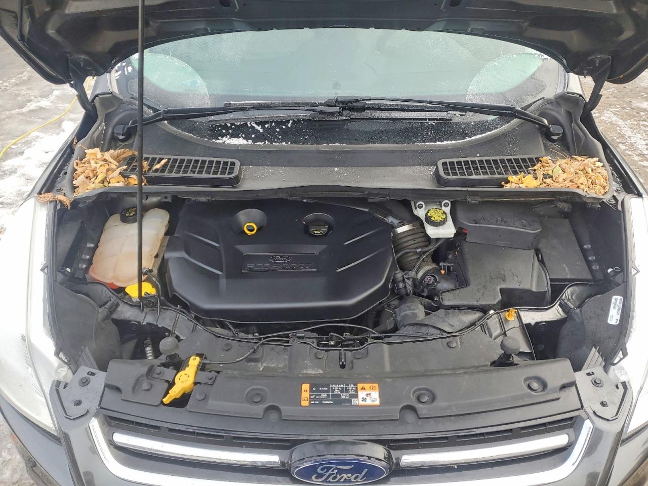 2016 FORD ESCAPE TITANIUM photo 11