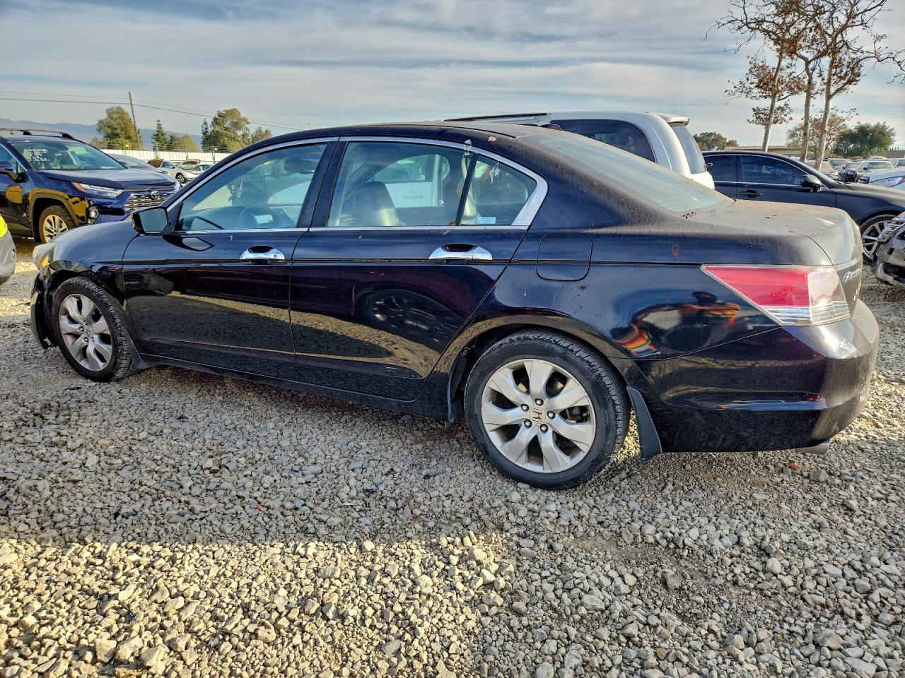 2008 HONDA ACCORD EXL photo 2
