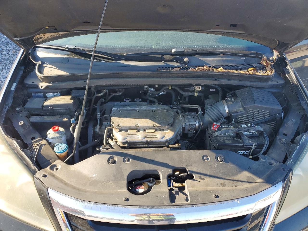 2010 HONDA ODYSSEY EXL photo 12