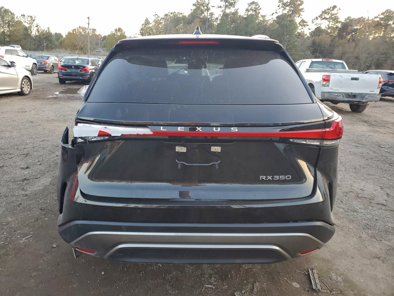 2025 LEXUS RX 350 BASE photo 6