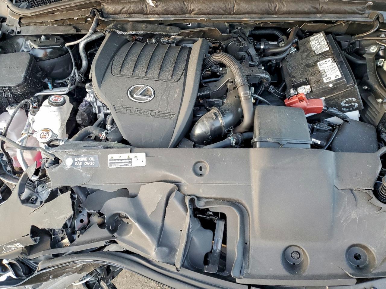 2025 LEXUS RX 350 BASE photo 12