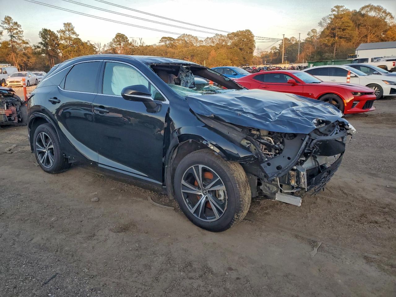 2025 LEXUS RX 350 BASE photo 4