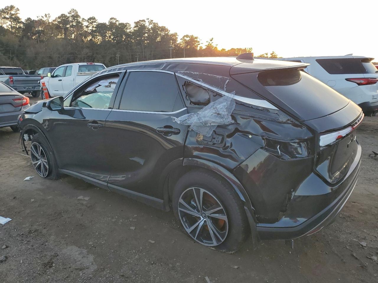 2025 LEXUS RX 350 BASE photo 2