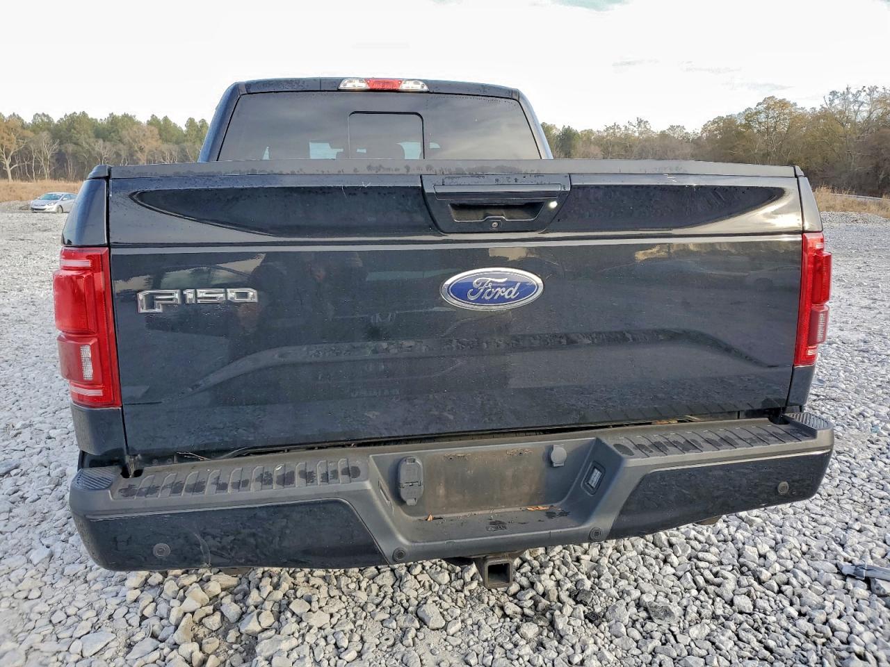 2016 FORD F150 SUPERCREW photo 6
