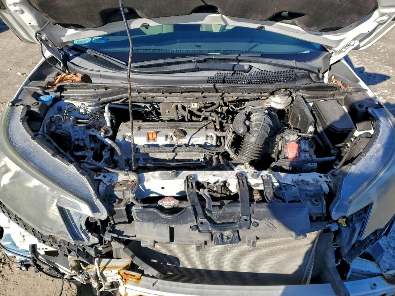 2014 HONDA CR-V EX photo 12