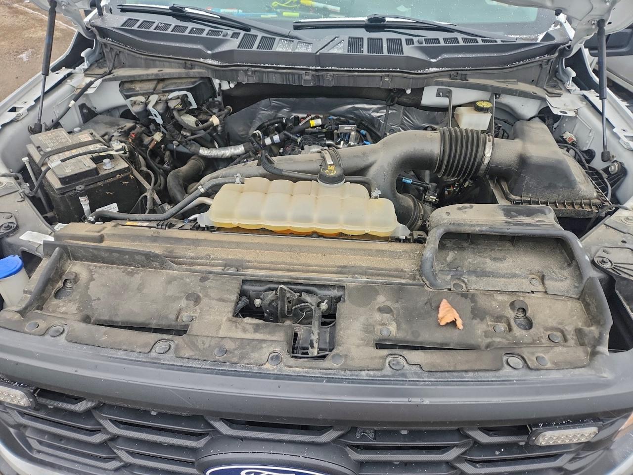 2024 FORD F150 XL photo 11