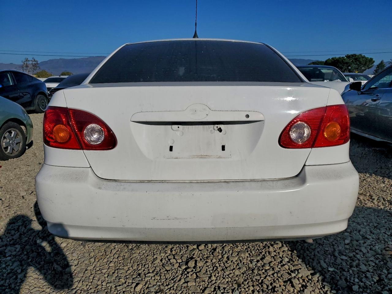 2003 TOYOTA COROLLA CE photo 6