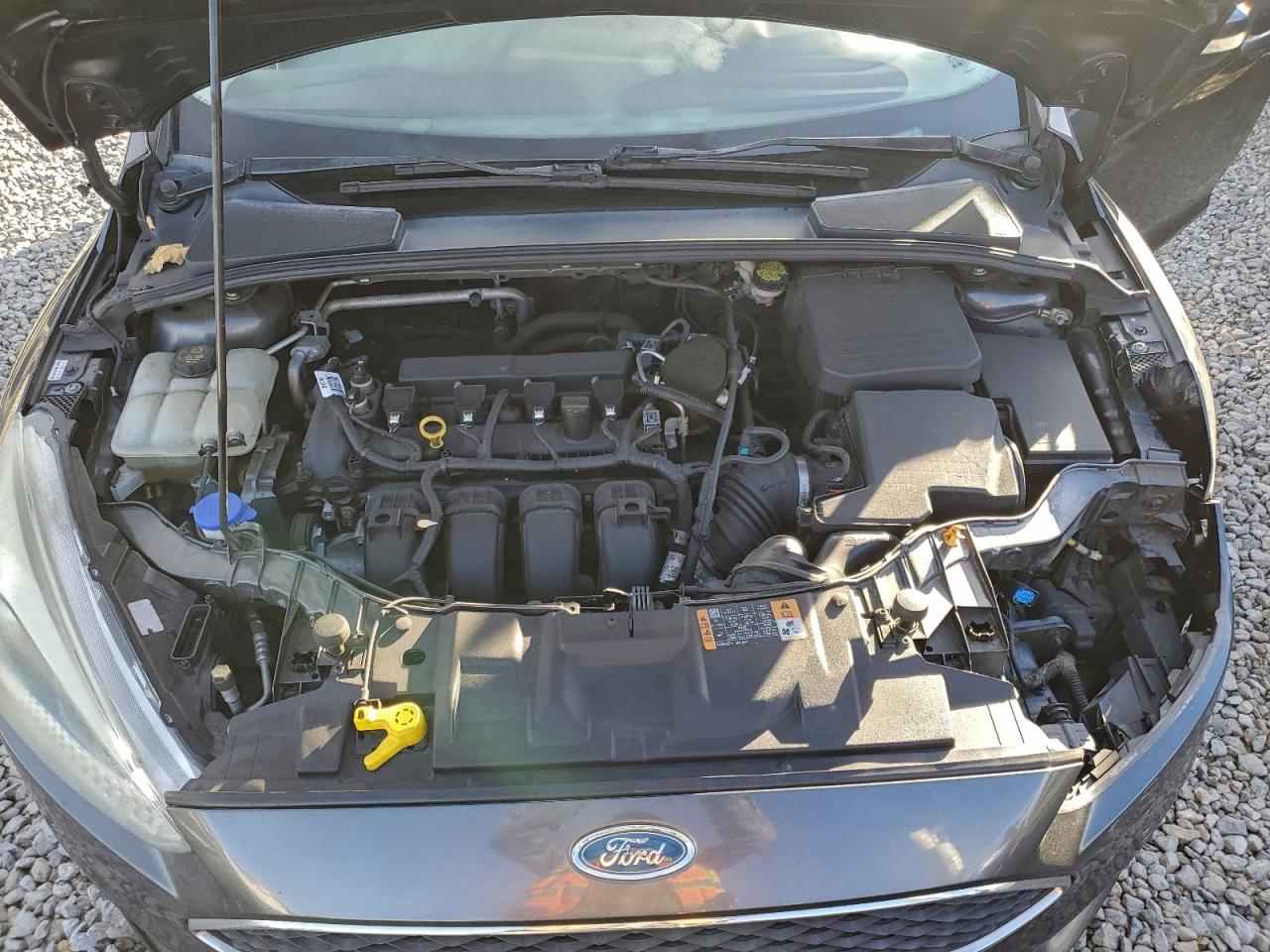 2015 FORD FOCUS SE photo 11